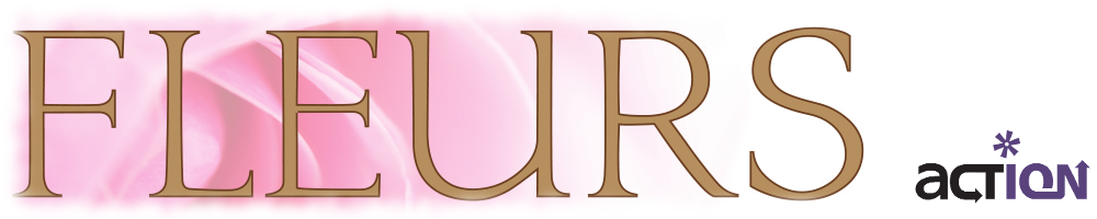 ION Print Solutions Logo